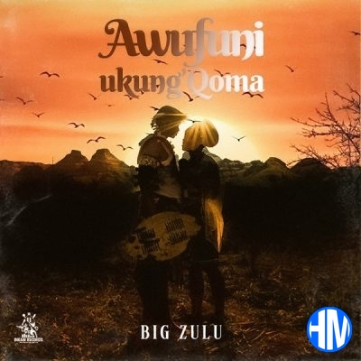 Big Zulu – Awufuni Ukung’Qoma